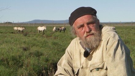 Сергей Зимов: единственный способ остановить таяние мерзлоты &ndash; превратить Сибирь в плейстоценовый парк