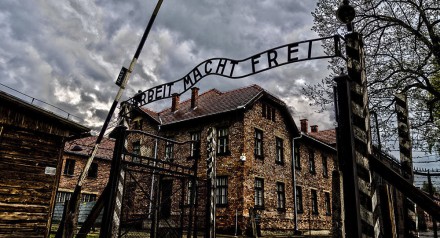 Блокада Ленинграда и Холокост: общая трагедия как предостережение для Европы 