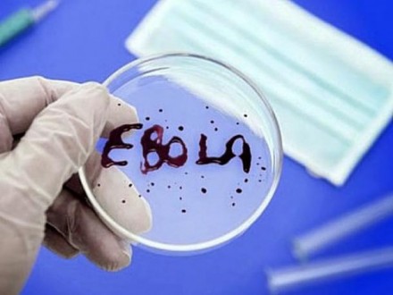 Mēli par Ebolas vīrusu